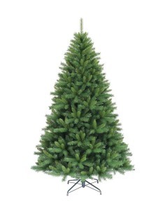 ALBERO LOGAN PINE 210CM su TreG Ingrosso