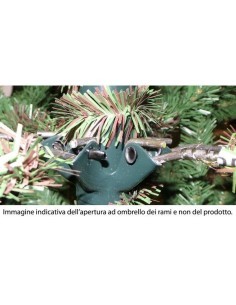 ALBERO LOGAN PINE 210CM su TreG Ingrosso