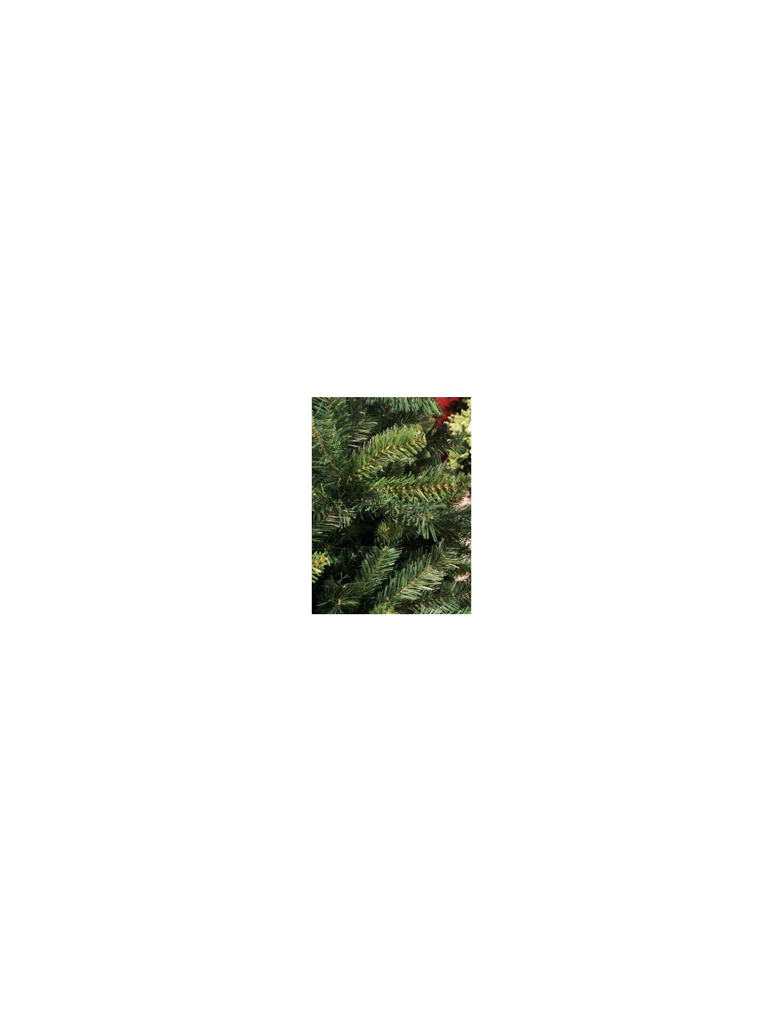 ALBERO LOGAN PINE 210CM su TreG Ingrosso