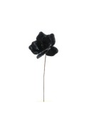 MAGNOLIA 23X60CM NERO su TreG Ingrosso