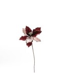 STELLA DI NATALE 23X60CM ROSSO/CHAMPAGNE su TreG Ingrosso