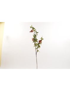 TRALCIO MELOGRANI 17X79CM su TreG Ingrosso