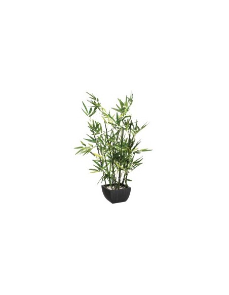 PIANTA 109591 BAMBOO CON VASO H70CM su TreG Ingrosso