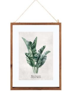 QUADRO 162318 FOGLIE 38X48CM ASSORTITO