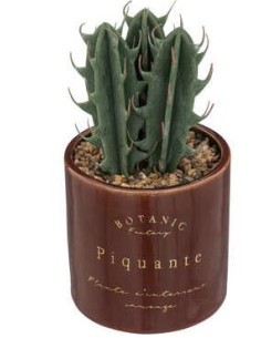 PIANTA 193717C VASO CERAMICA 9,8X19,5CM