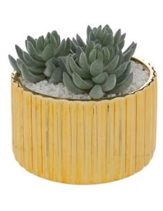 PIANTA 196706 VASO CERAMICA 14X14CM DORATO