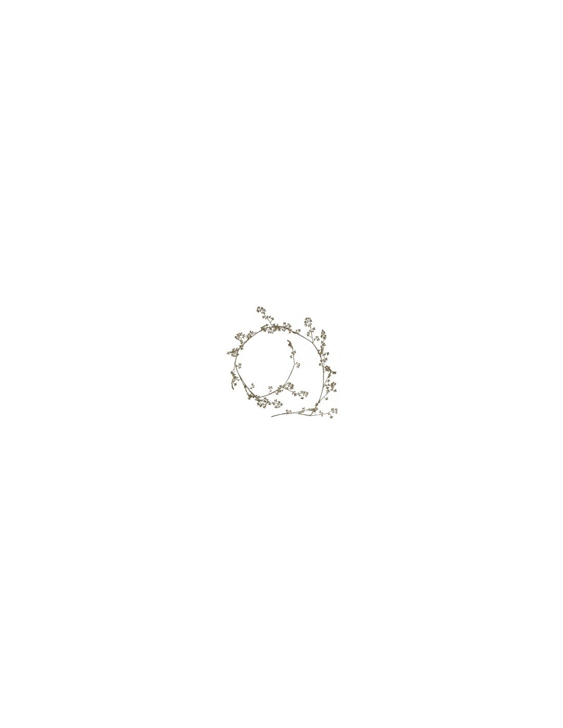 FESTONE PLASTICA ORO CM156