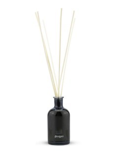 PROF AMB 100ML CEDRO su TreG Ingrosso