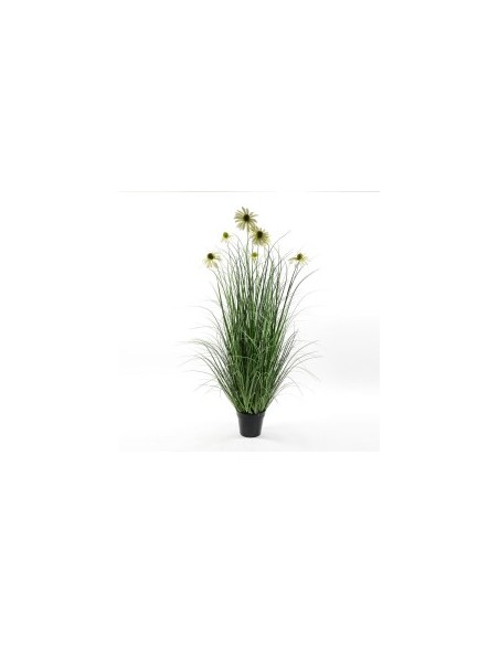 PIANTA 01920 CON VASO 120CM