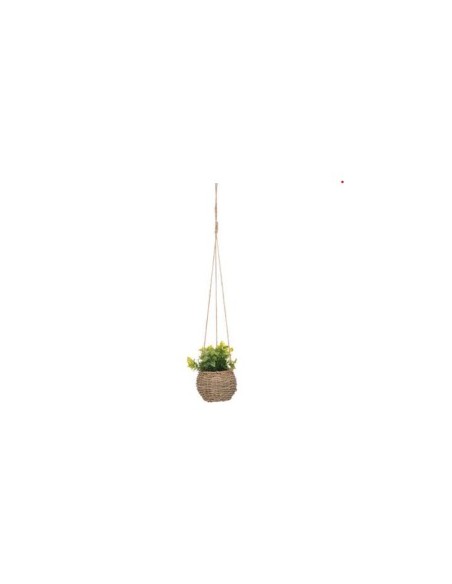PIANTA PENSILE 193789 CON VASO 17CM NATURALE