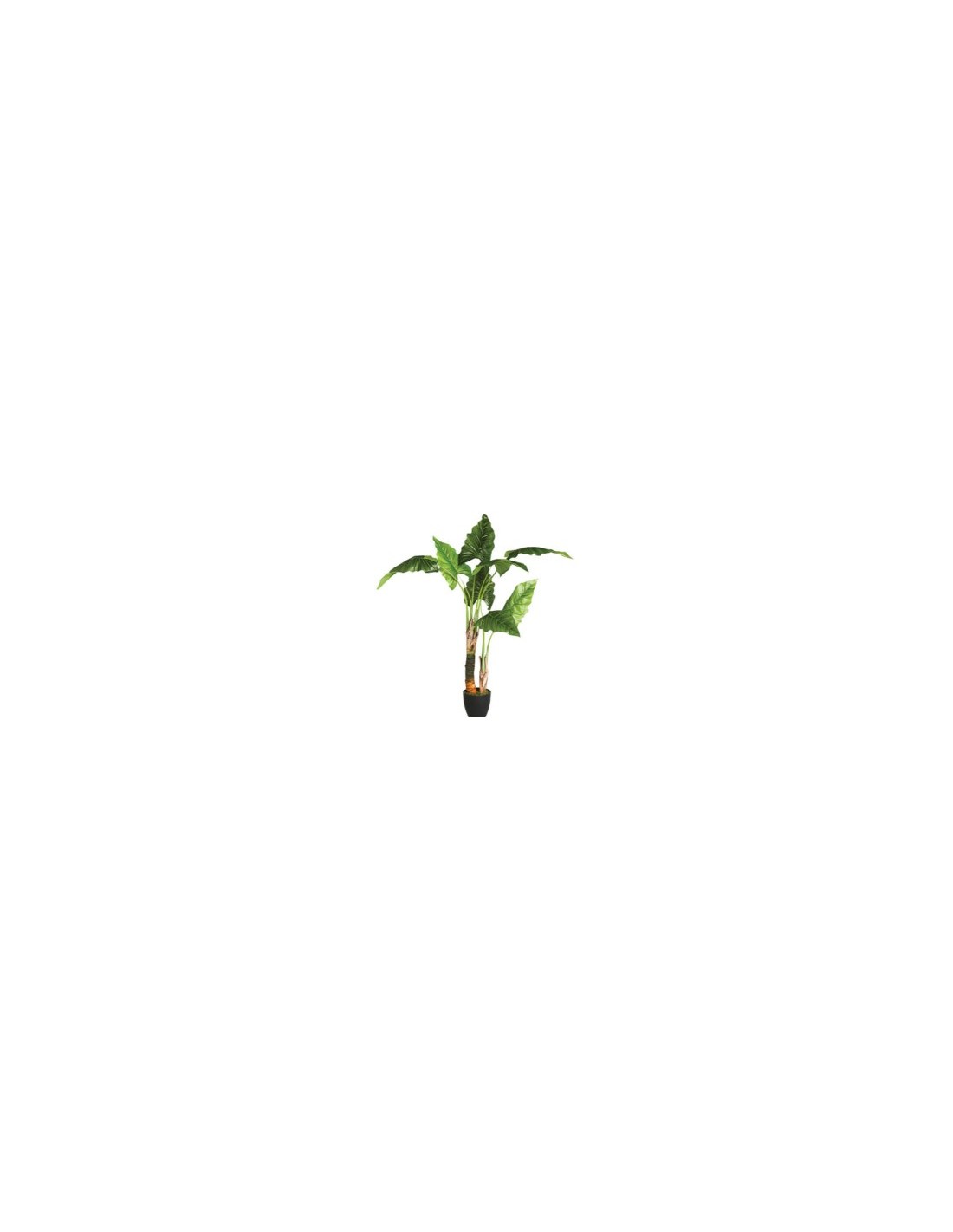 PIANTA 110249 BANANO H120CM CON VASO