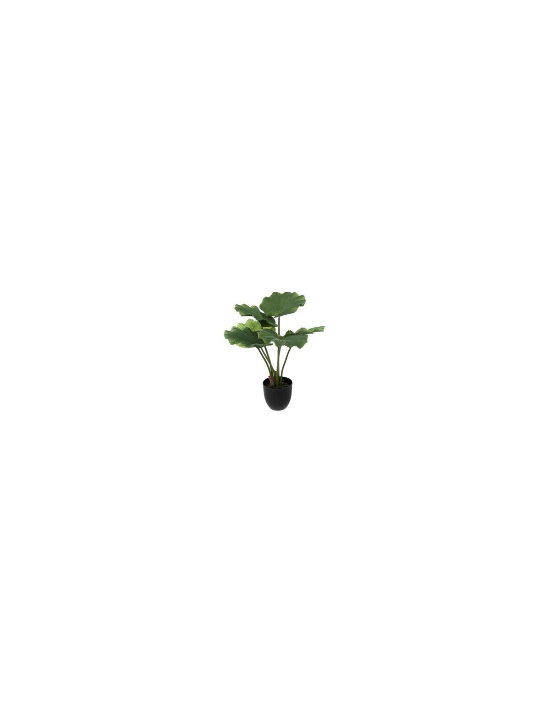 PIANTA 189127 PALMA 62X65CM CON VASO