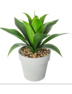 PIANTA 160073 ALOE VERA H35CM CON VASO