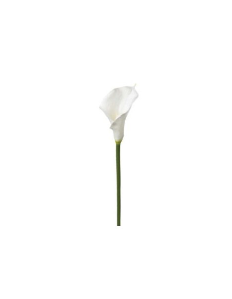 PIANTA 121515 STELO DI ARUM H75CM BIANCO