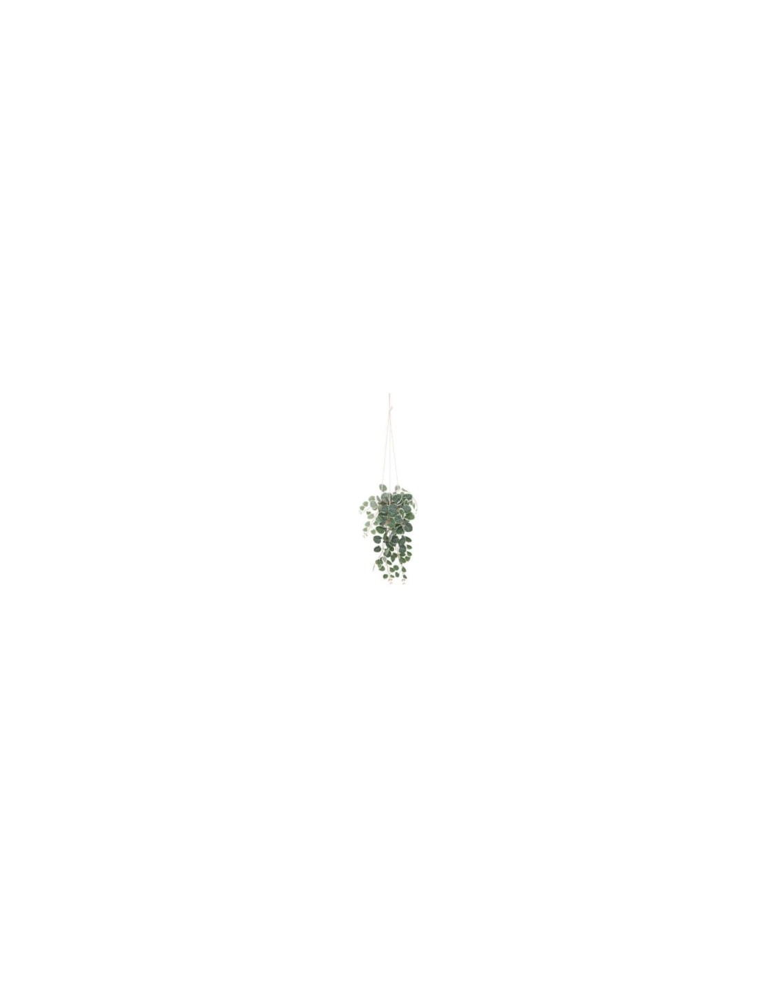 PIANTA PENSILE 193710 VASO PLASTICA H30CM