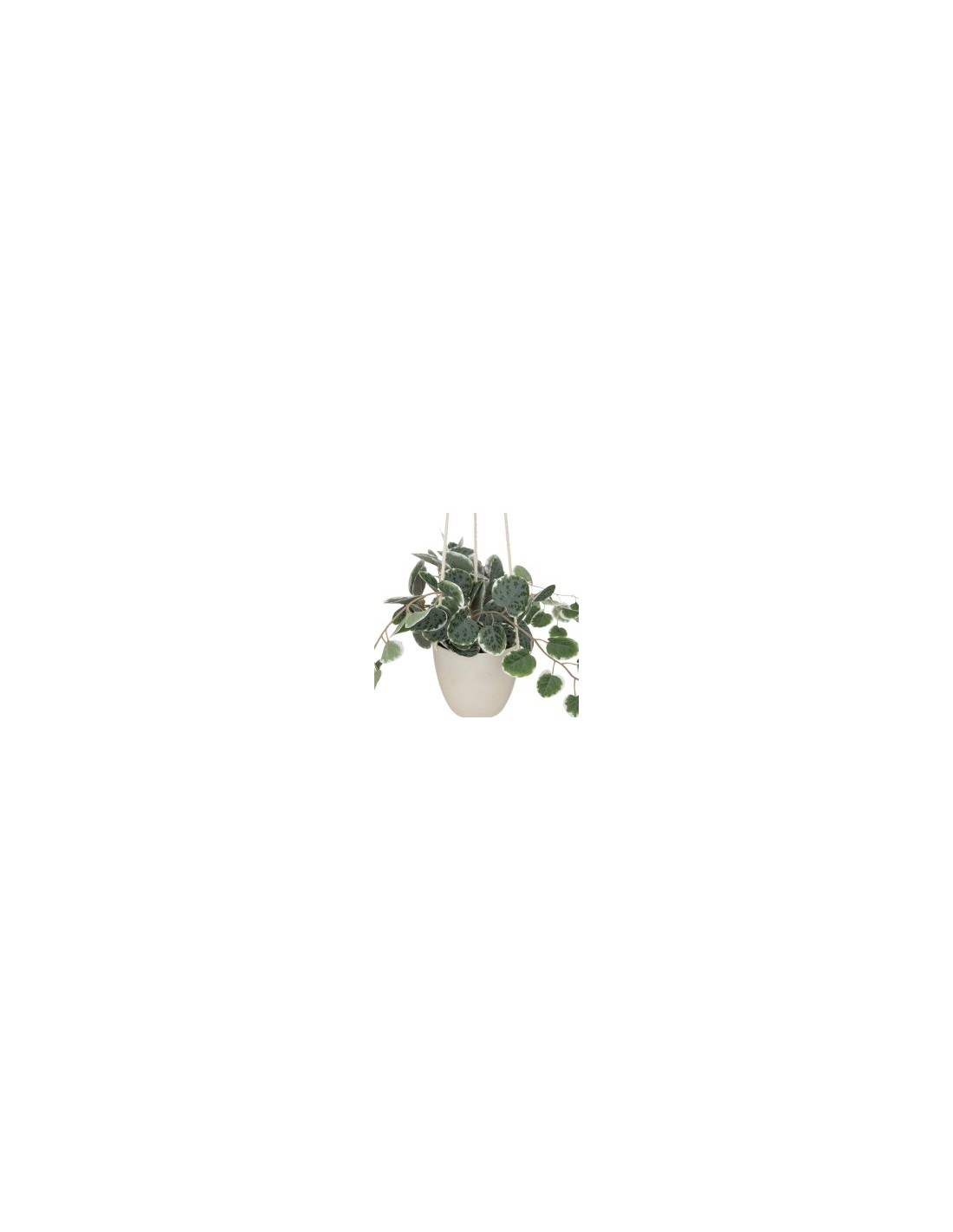 PIANTA PENSILE 193710 VASO PLASTICA H30CM