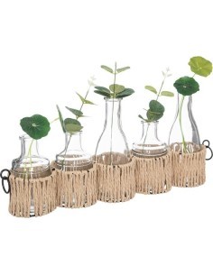 SET 5 VASETTI 193835 VETRO 44X19CM CON PIANTINE