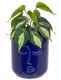 PIANTA 198130 SOLEYA H30CM VASO CERAMICA BLU