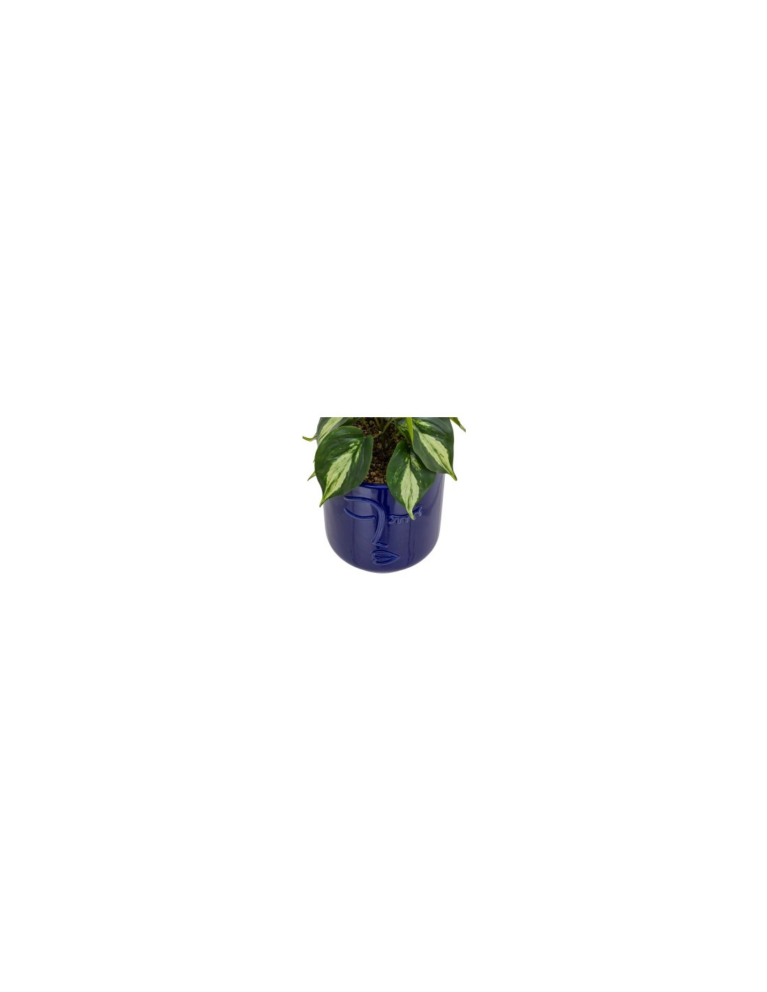 PIANTA 198130 SOLEYA H30CM VASO CERAMICA BLU