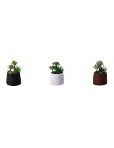 PIANTA GRASSA 102180 CON VASO CEMENTO 15X25CM ASSORTITO