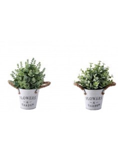 PIANTA 86169 CON VASO FERRO 20X25CM ASSORTITO