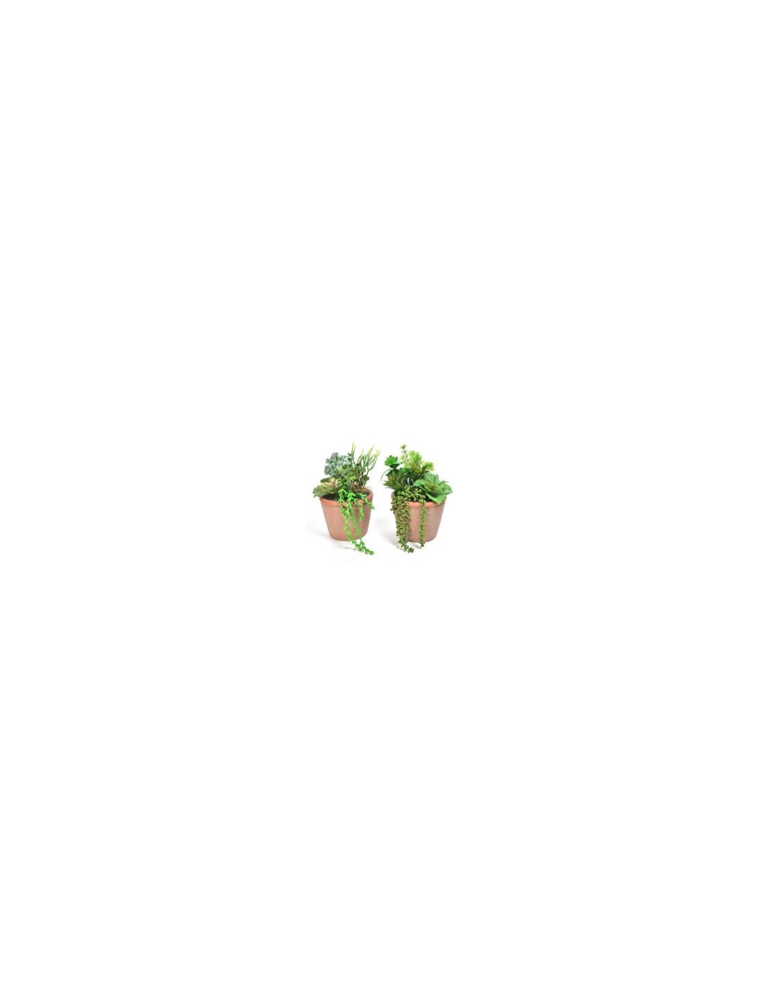 PIANTA GRASSA 11643 VASO CEMENTO 18X30CM ASSORTITO