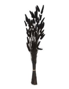 MAZZO FIORI SECCHI 189113D PENNISETO 58CM NERO