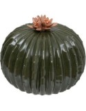 FIGURA CACTUS 200805 EXOTIC 17X15CM CERAMICA