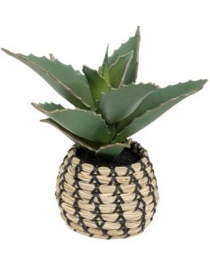 PIANTA 198120 CON VASO NATURALE 25X22X26CM