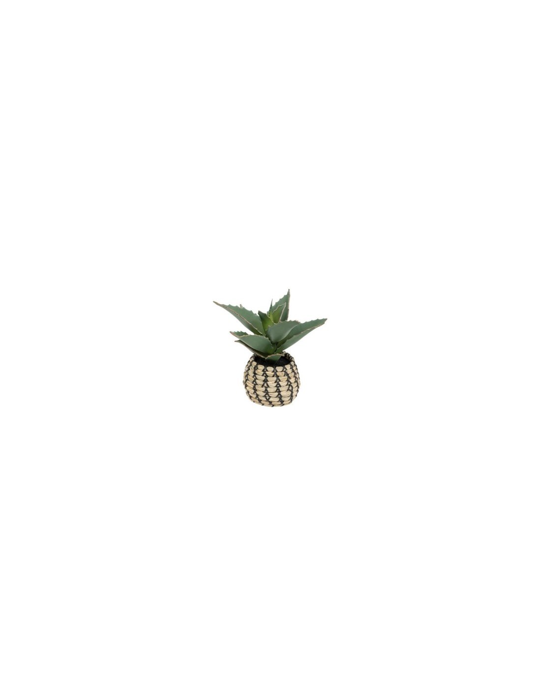 PIANTA 198120 CON VASO NATURALE 25X22X26CM