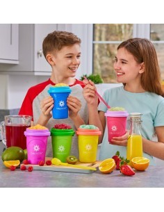 CHILL FACTOR FRUIT SLUSHY MAKER ASSORTITO CHL02000