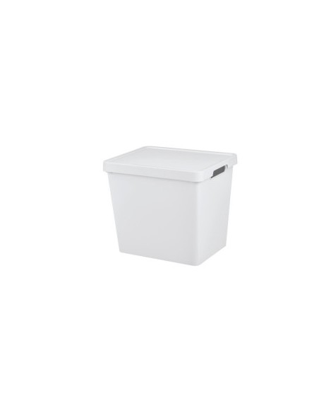 MAYA SCATOLA 24LT 36X28X31CM COLORI ASSORTITI