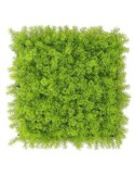SIEPE ARTIFICIALE 50X50 MUSCHIO CHIARO
