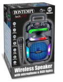 CASSA 491030 WIRELESS CON MICROFONO DINAMICO