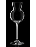 INVINO CONF 6 CALICI ACQUAVITE 11CL