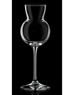 INVINO CONF 6 CALICI ACQUAVITE 11CL