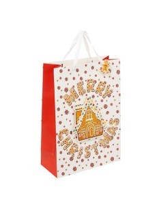 Sacchetto Natalizio Pan di Zenzero, 33x15x46 cm, Borsa Regalo di Natale, Modello Grande