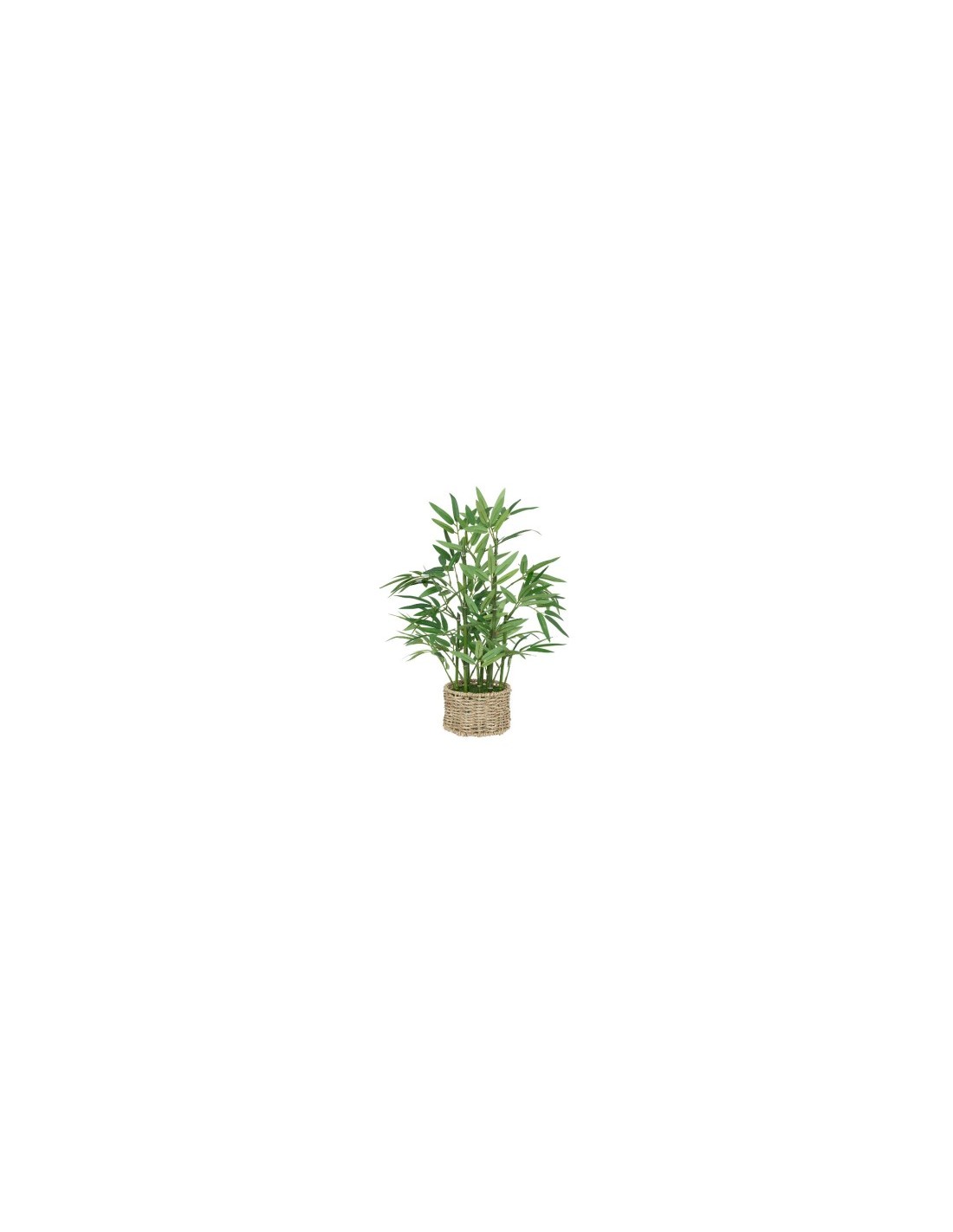 PIANTA 204209 BAMBOO 32X46CM VASO NATURALE