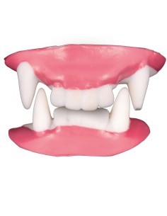 Doppi Denti Vampiro in Lattice, Accessorio Halloween