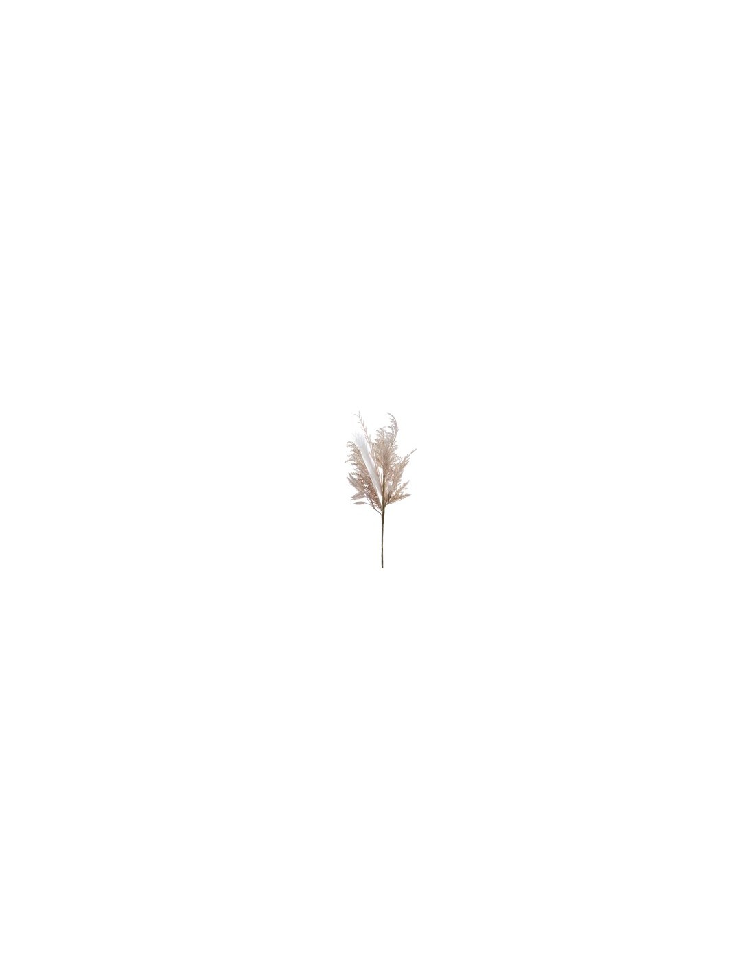 STELO 7633-01 PAMPAS GRAMINACEA CREMA