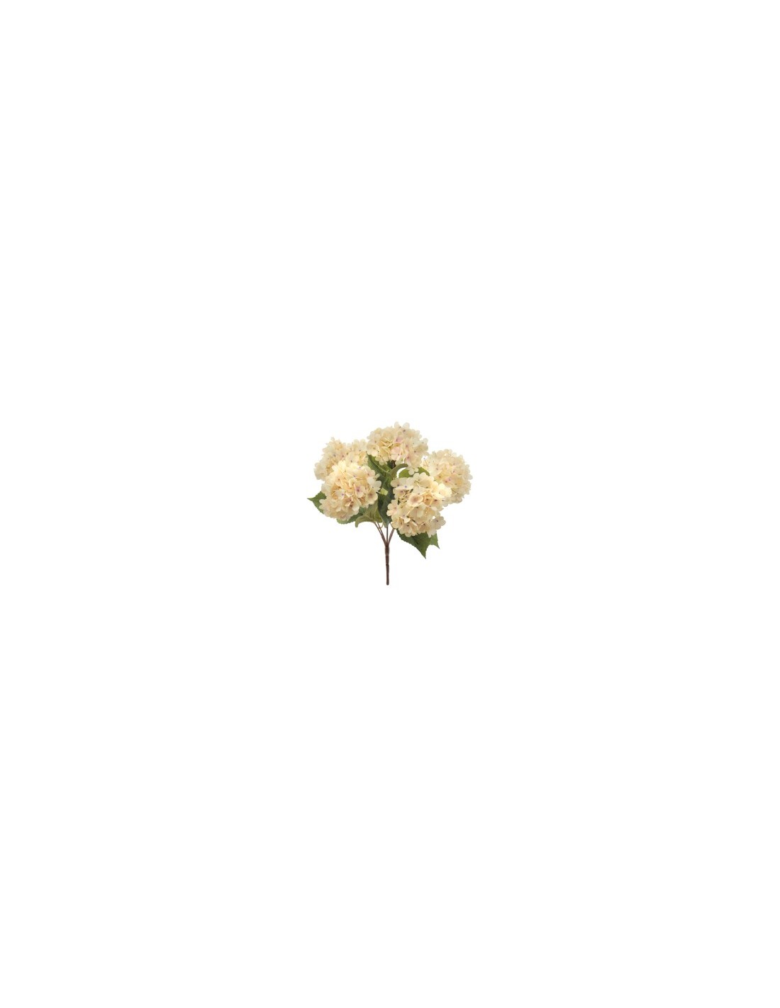 STELO 6460-31 5 ORTENSIE VINTAGE BEIGE