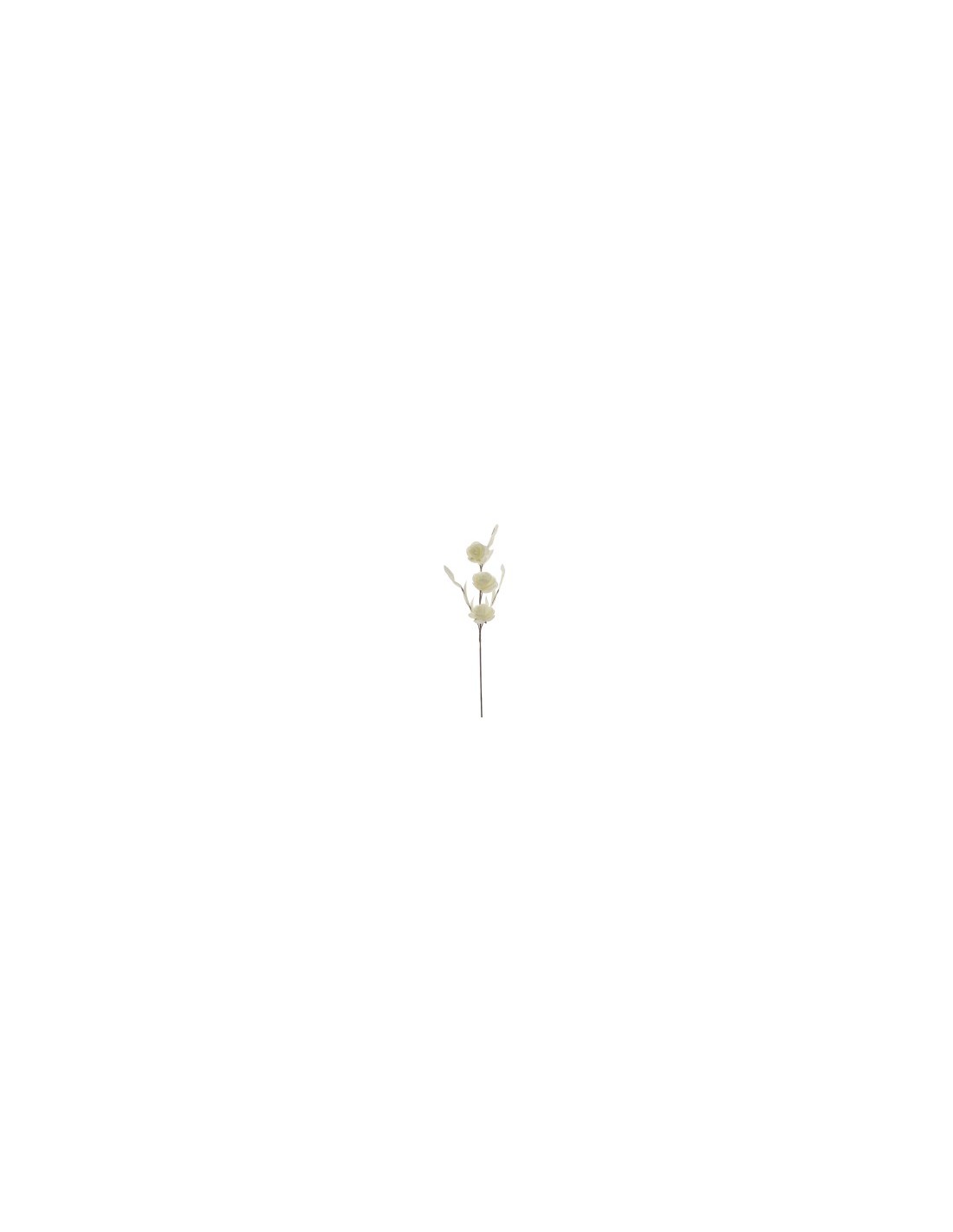 ROSA 7696-01 ROSA X3 CREMA