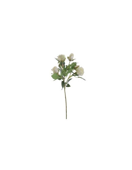 STELO 6912-01 5 BOCCIOLI DI ROSA CREMA