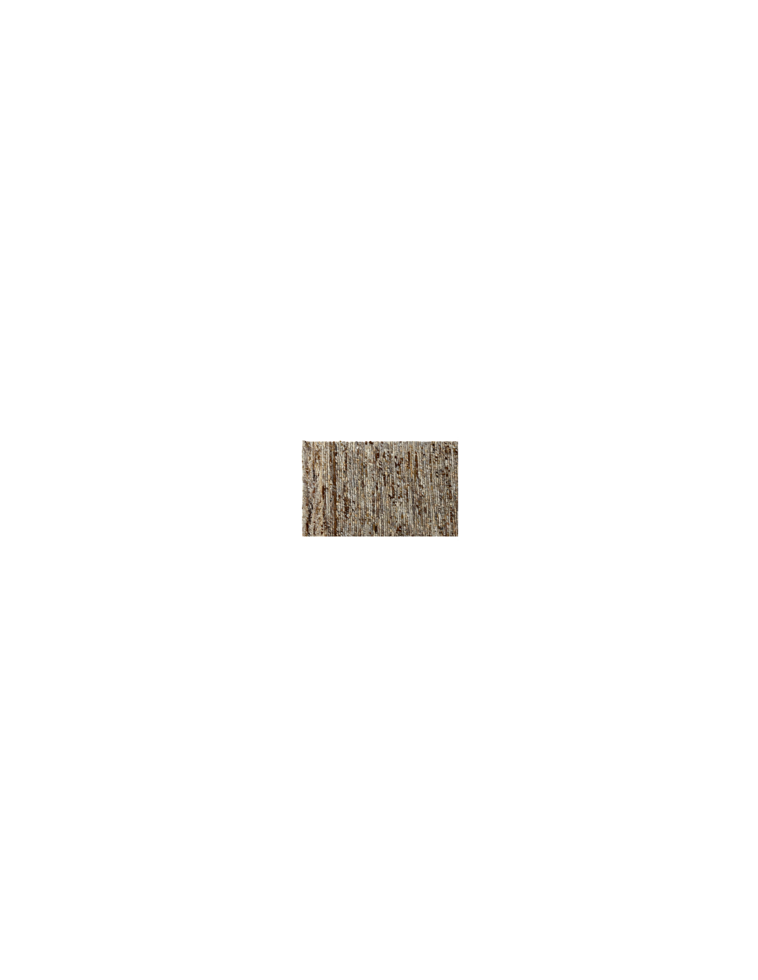 TAPPETO TX217724 LANA/COTONE 160X230 MARRONE