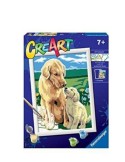 CREART 20048 18X24 RETRIEVER SUL PRATO