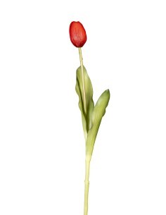 FIORE 18120007-03 TULIPANO ROSSO 40CM