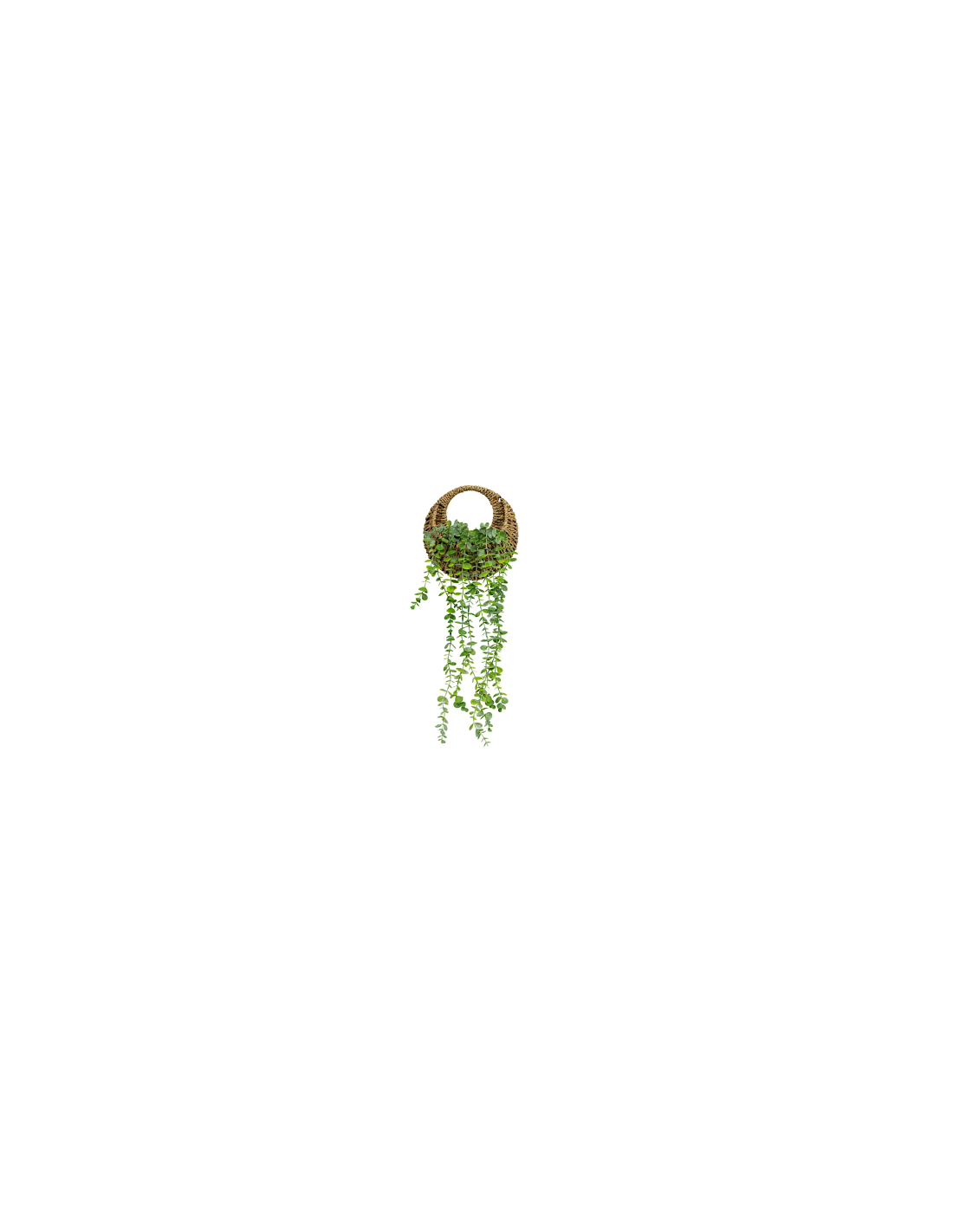 PIANTA PENDENTE 204255 ZEA CON VASO H70CM