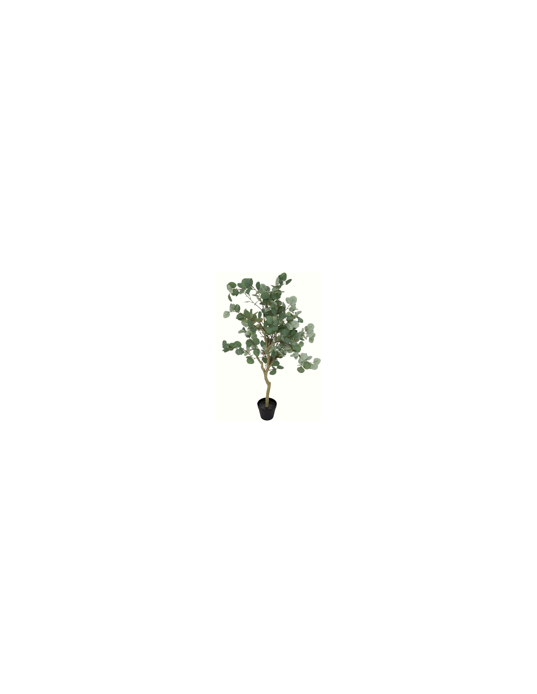 PIANTA 204276 EUCALIPTO 50X50X127CM CON VASO