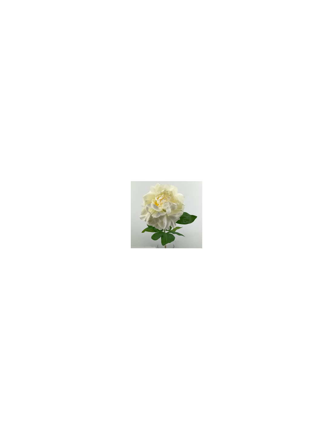 FIORE 40000001-10 PEONIA BIANCA 65CM