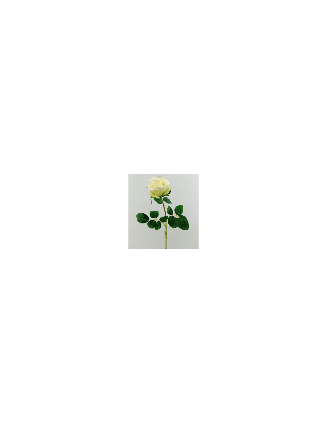 FIORE 40000004-10 ROSA COLOMBIANA BIANCA 65CM